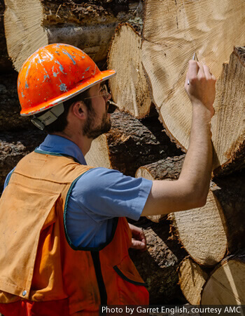 Mountain Region - managing Maine's forests.